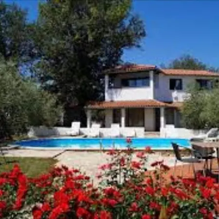 Guest house Jurcan